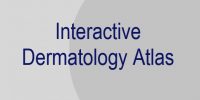 Base de datos de libre acceso de atlas interactivo de dermatología