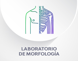 Laboratorio de Morfología