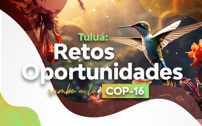 TULUA _ RETOS Y OPORTUNIDADES RUMBO A LA COP-16